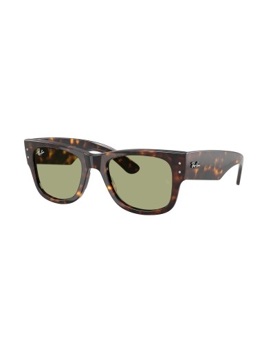 Ray-Ban 0840s color Havana - sunglasses
